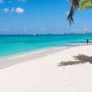 Meet your Posher, Missy